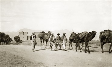 Driving camels along the Khyber Pass. Indian men drive camels laden with bundles of supplies past a