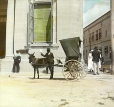 A buggy and mule, Barbados. A buggy pulled by a mule stands outside a large colonial building in