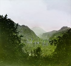 View across Roseau Valley. View of the mountainous terrain surrounding Roseau Valley. Near Roseau,