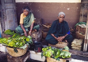 Selling betel leaves at an Indian market. A pair of elderly women sit cross-legged on two wooden