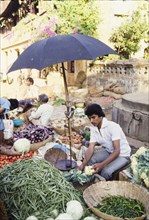 Weighing vegetables at a market in Goa. A man weighs cauliflowers on a pair of scales shaded by an