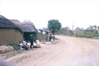 A Hausa village. View along a road running through a Hausa village, which is flanked by mud-walled,