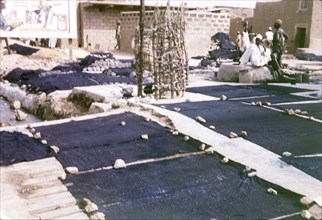 Indigo dyeing ground, Kano. Squares of indigo-dyed cloth are stretched out and weighed down with