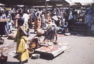 Kola nut stall at Abidjan market. Women arrange a display of kola nuts at a bustling market in