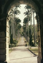 Codrington College, Barbados. View through an archway along an avenue of palms leading to