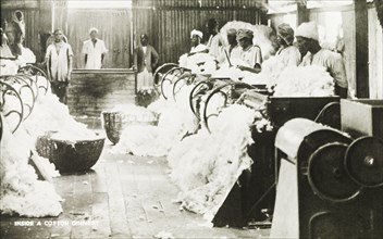 Inside a cotton ginnery. Workers in a cotton factory operate roller gins to separate the cotton