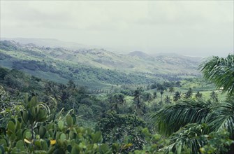 The highlands and forests of Barbados. View across some of the highlands and forests of Barbados,