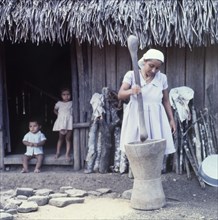 Grinding rice, Belize. A Ketchi woman grinds rice inside a large pestle and mortar, watched by two