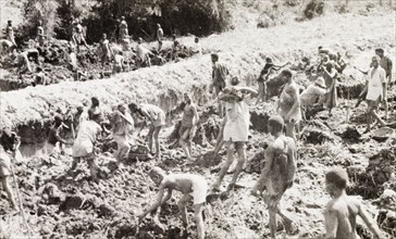 Kakamega goldfields. Labourers dig up earth for panning on the goldfields of Kakamega. Kakamega,