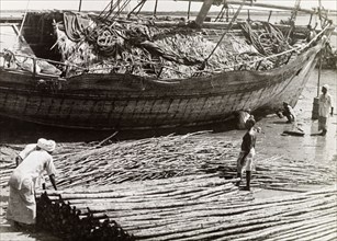 The exportation of mangrove poles. Men load mangrove poles onto a dhow, ready for exportation to