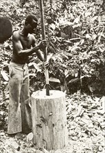 Hollowing out the shell of an atumpan drum. A craftsman uses a long carpentry tool to hollow out a