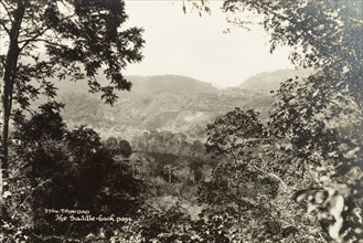 Saddleback Pass. View of the Saddleback Pass, located from the forested slopes of the Northern