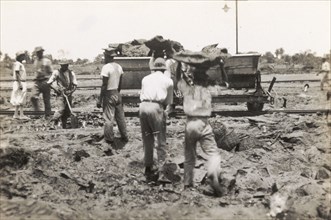 Transporting asphalt from the Pitch Lake. Labourers load lumps of asphalt extracted from Trinidad's