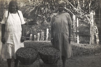 Women with baskets of coffee beans. Two women, probably plantation workers, pose for the camera