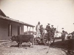 Passenger transportation, Cuba. Several men hitch a ride through town on a cart pulled by