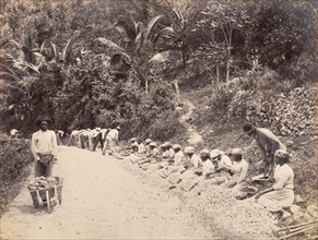 Mending our ways'. Male and female indentured labourers work on the construction of a new road.