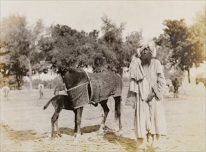 Indian groom with a mare and foal. An Indian groom stands in a paddock on a colonial settler's