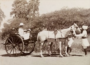 The Lawrence family sets off in a carriage. Phyllis Louise Lawrence, the first wife of Sir Henry