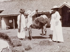 Preparing hay at a stables. Phyllis Louise Lawrence, the first wife of Sir Henry Staveley Lawrence