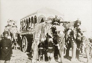 Procession of caparisoned elephants. Two caparisoned elephants pull a large, ornate carriage whilst
