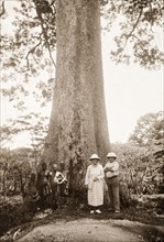 Group beside a Khaya tree. A European couple stand at the base of a large Khaya tree, also known as