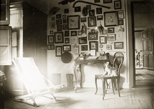 The drawing room at Penshew House. A pet dog sits on a chair in the drawing room in Penshew House,