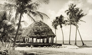 A traditional Samoan 'fale'. A traditional Samoan 'fale' (house) stands between palm trees on a