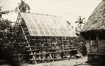 Constructing a Samoan 'fale'. Scaffolding surrounds a partially constructed Samoan 'fale' (house),