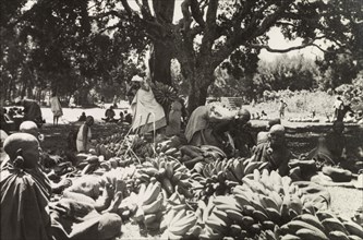 Plantain stall at Karatina market . Kikuyu traders display large bunches of plaintains on a stall
