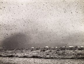 A swarm of locusts. A swarm of locusts descend on a Kenyan camp. Near Gilgil, Kenya, circa 1935.,