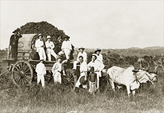 Transport in East Africa in (the) early days'. A group of European men in lightweight suits pose