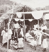 Carib family preparing cassava. A large Carib family prepare cassava (Manihot esculenta) beneath a