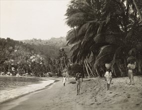 Man-O-War Bay, Tobago. View along the palm tree-lined beach at Man-O-War Bay, where people carry