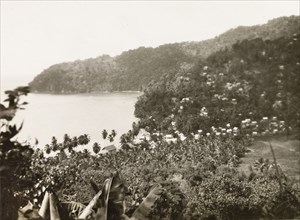 Charlotteville and Man-O-War Bay. View of the village of Charlotteville nestled in the foothills of