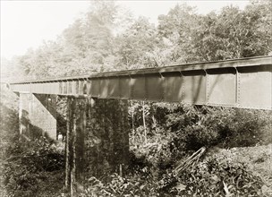 Railway bridge crossing Dabadie ravine, Trinidad. View of a Trinidad Government Railway bridge
