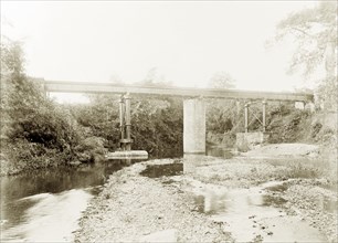 Railway bridge over Tacarigua River, Trinidad. View of a Trinidad Government Railway bridge
