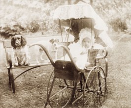 Jess Murray in a Victorian pram. Portrait of an infant, Jess Murray, sitting in her Victorian-style