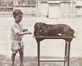 James Murray with pet dachshund. Six year old James Murray shows off his prize-winning dachshund,
