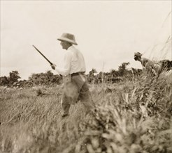 Snipe hunting in paddy fields, Calcutta. James Murray goes snipe hunting with a 'shikari' (hunter)