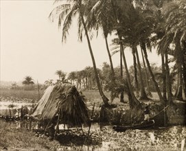 Canoeing on stream through paddy fields, Calcutta. An Indian man navigates a canoe along a stream