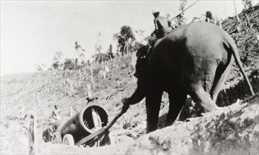 Elephants hauling a locomotive boiler. Two elephants haul a wheeled locomotive boiler up a