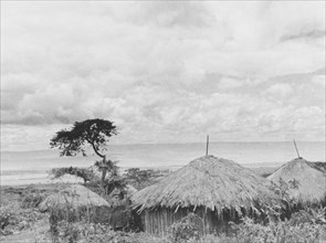 Kikuyu settlement below the Aberdare Mountains. Thatched huts belonging to a Kikuyu settlement sit