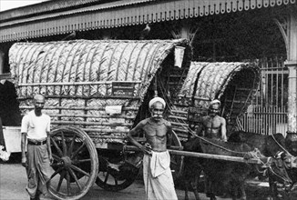 Two covered carts, Ceylon. Three men pose for the camera beside two covered bullock carts. A sign