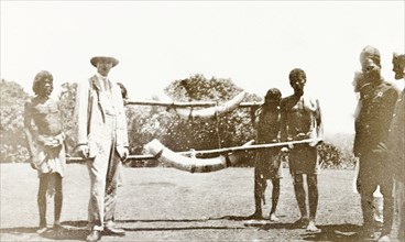Tusks of the second elephant bagged by the Governor'. Four Indian servants display the tusks of an