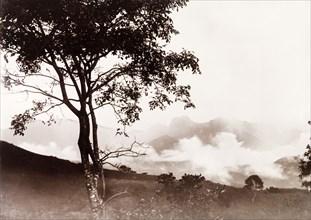 Nilgiri Hills. View of the mist covered Nilgiri Hills, part of the Western Ghats mountain range.