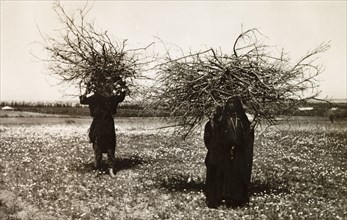 Bedouin couple carrying firewood. A bedouin couple cross a flowery field under the burden of two