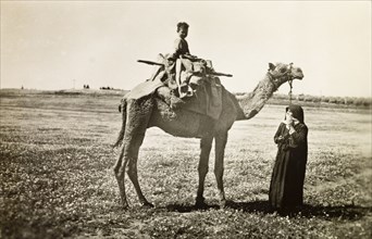 Palestinian boy riding a camel. A woman in traditional Arabic dress leads a saddled camel, on which
