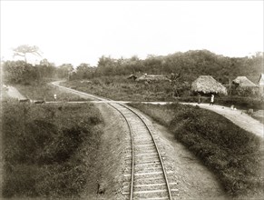 Trinidad Government Railways track. A stretch of track built by Trinidad Government Railways cuts