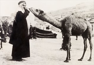 A curious camel. An Arab man in traditional Arab dress poses with an inquisitive camel. British