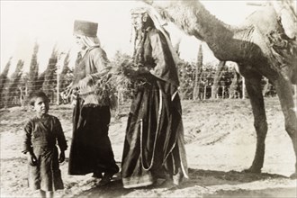 Bedouin people near Samakh. Two bedouin women and a young boy walk along a rural road with a camel